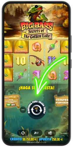 Paso 5: gira los rodillos y activa los Free Spins